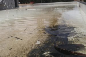 clogged-roof-drain-ponding-water-florida