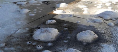 commercial-roof-blister commercial-roof-blister