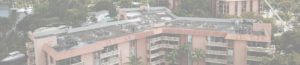 commercial roof types florida