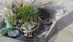 debris in commercial roof drains
