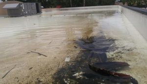 ponding water roof drain clogged