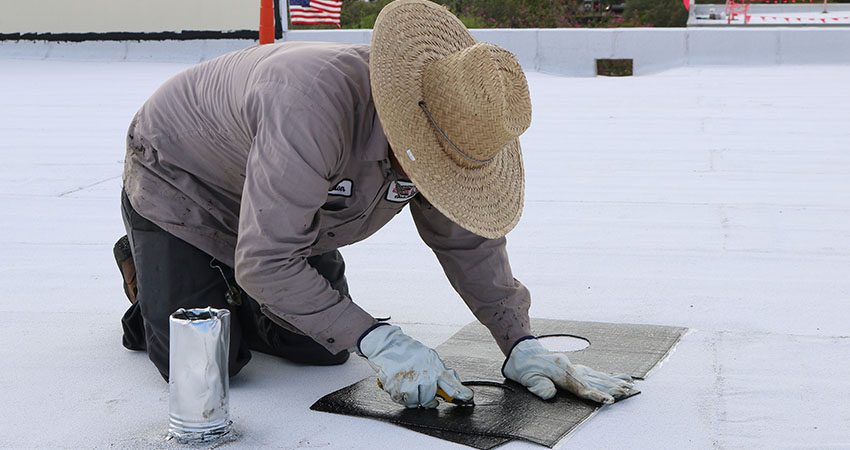 government roofing contractor florida piggyback contracts cooperative purchasing government roofing contractor florida piggyback contracts cooperative purchasing
